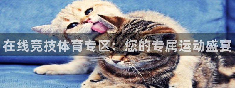 在线竞技体育专区：您的专属运动盛宴