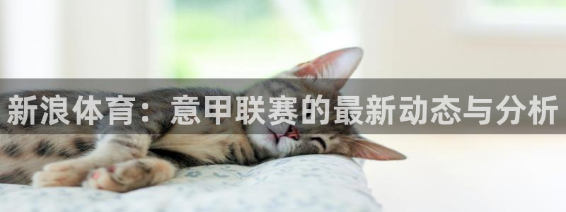 新浪体育：意甲联赛的最新动态与分析
