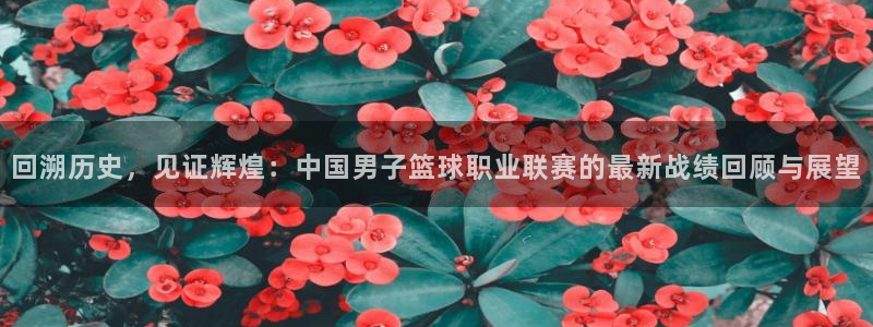 回溯历史，见证辉煌：中国男子篮球职业联赛的最新战绩回顾与展望