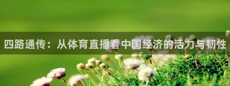 四路通传：从体育直播看中国经济的活力与韧性
