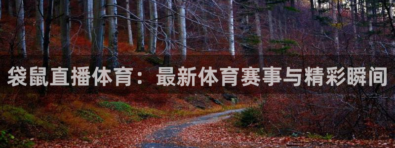 袋鼠直播体育：最新体育赛事与精彩瞬间