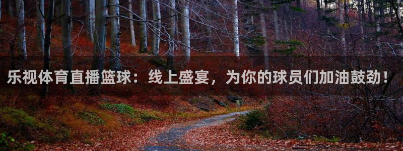乐视体育直播篮球：线上盛宴，为你的球员们加油鼓劲！