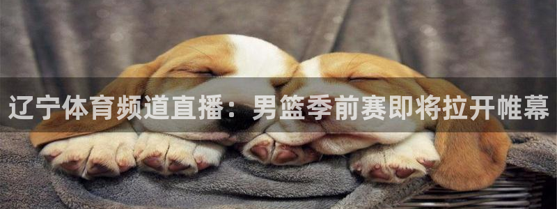辽宁体育频道直播：男篮季前赛即将拉开帷幕
