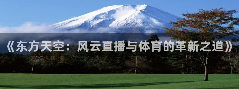 《东方天空：风云直播与体育的革新之道》
