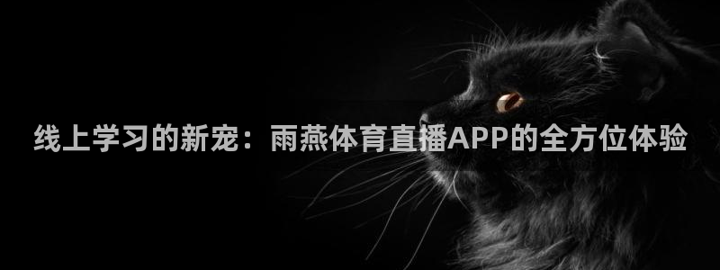 线上学习的新宠：雨燕体育直播APP的全方位体验