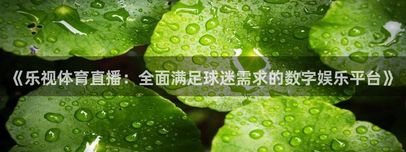 《乐视体育直播：全面满足球迷需求的数字娱乐平台》