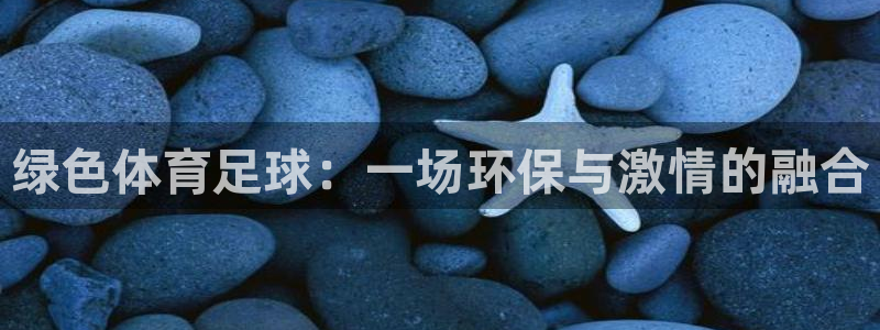 绿色体育足球：一场环保与激情的融合